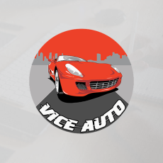 vice_auto_profil
